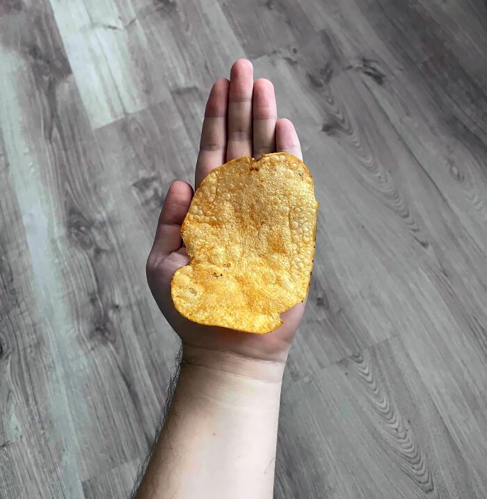 This Potato Chip Is Big As My Palm