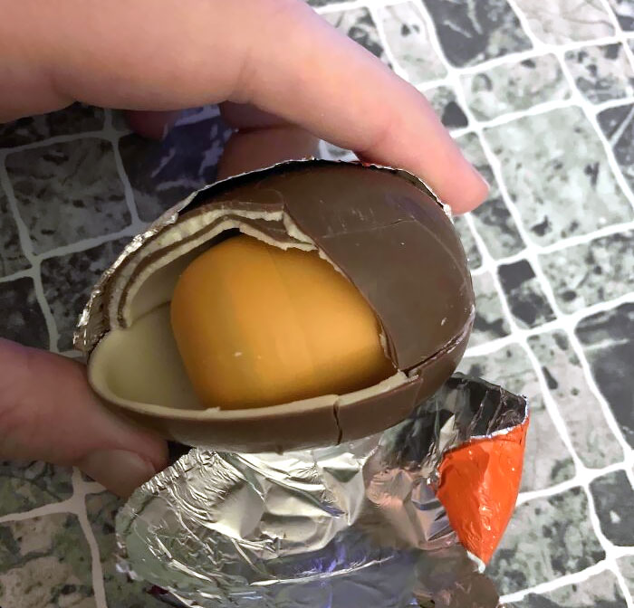My Kinder Surprise Had A Double Shell