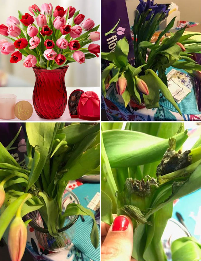 Valentine's Flowers... Delivered Upside Down, Moldy, Broken, And Not Even In The Right Vase