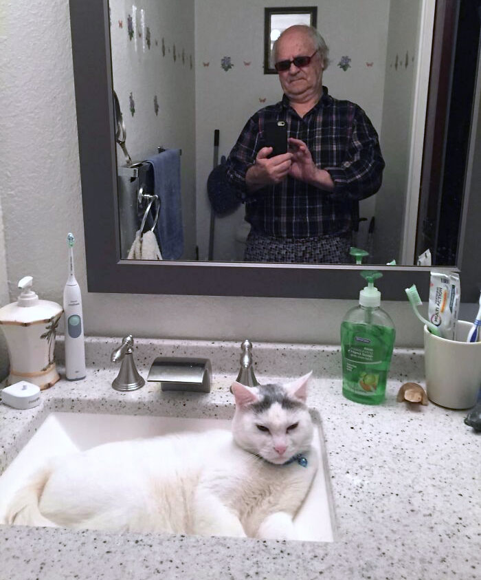 This Photo On My Grandpa's Phone Vibing With The Cat