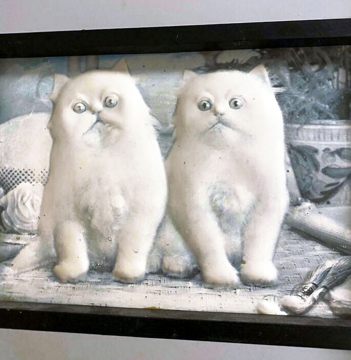 Just A Normal Painting I Found At My Grandmother's House, She Said These Cats Are Cute