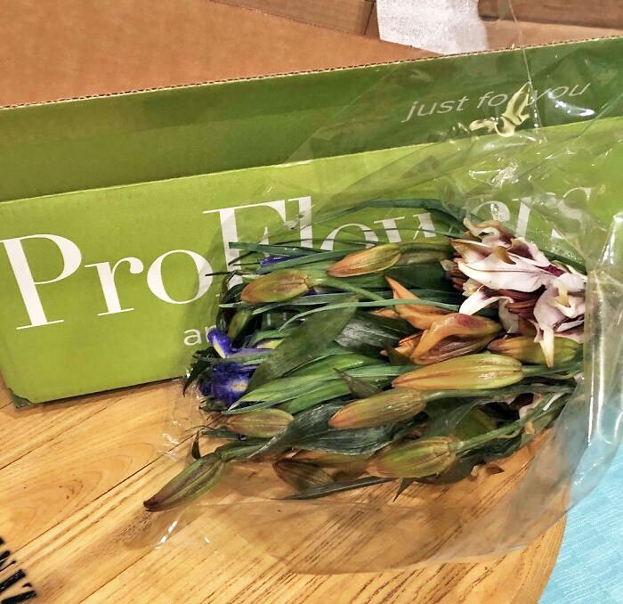 Thanks, ProFlowers, Only A Week Late And Like This. Flowers Were Supposed To Be Here On The 12th. They Shipped Late, And Then The Storm Hit. Customer Service Offered Me 20% Off