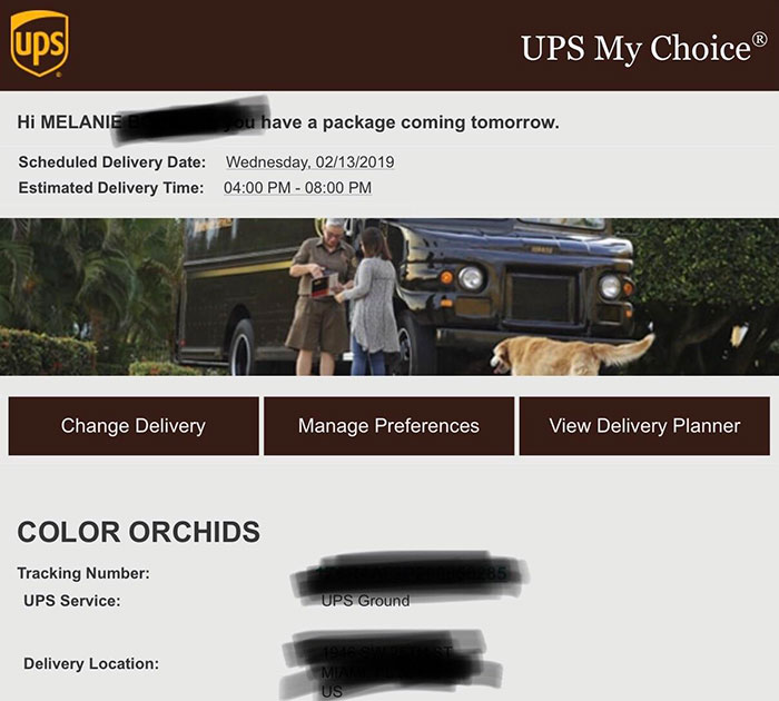 UPS Notifications Ruined My Valentine’s Day Flower Surprise