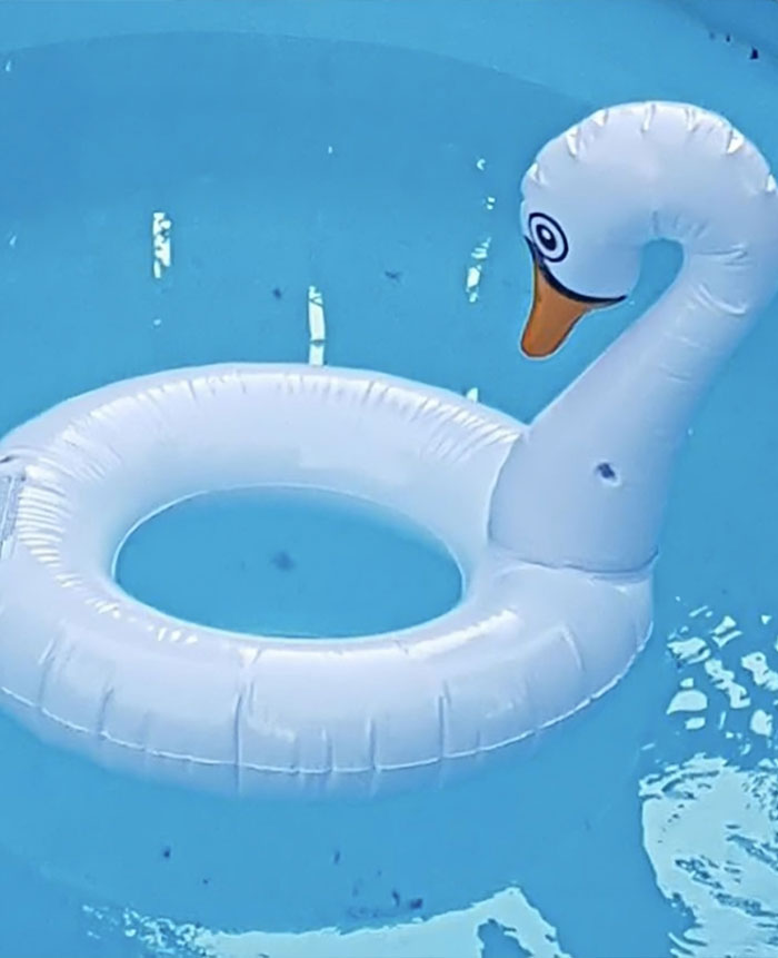 This $4 Swan Pool Float From The Dollar Store