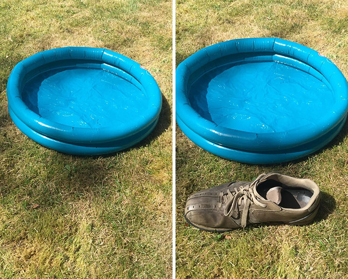 To Be Fair My Wife Did Think This Paddling Pool Was Suspiciously Cheap