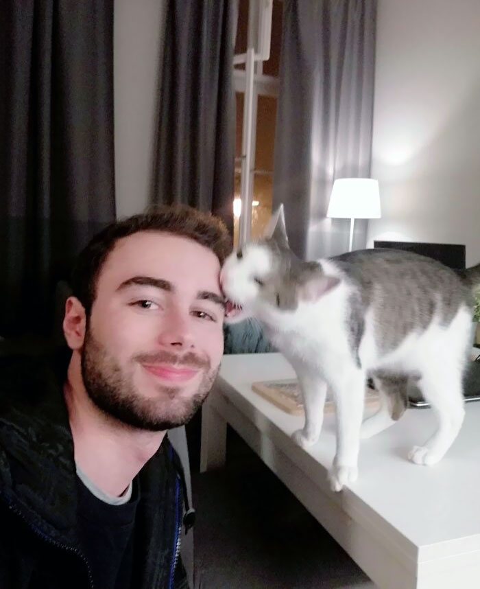 Apparently, The Spirit Possessing My Cat Doesn't Like Selfies