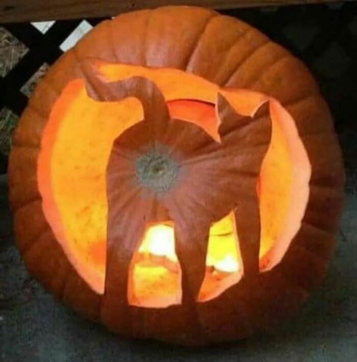 The Purrfect Pumpkin Carving Doesn’t Exi—