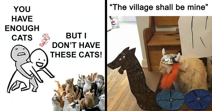 101 Fantastic Cat Memes To Help You Get Through Hard Times