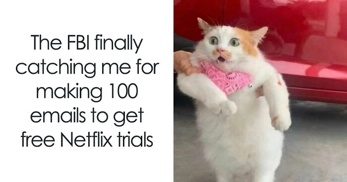 101 Of The Funniest And Most Relatable Cat Memes Shared By This IG Page