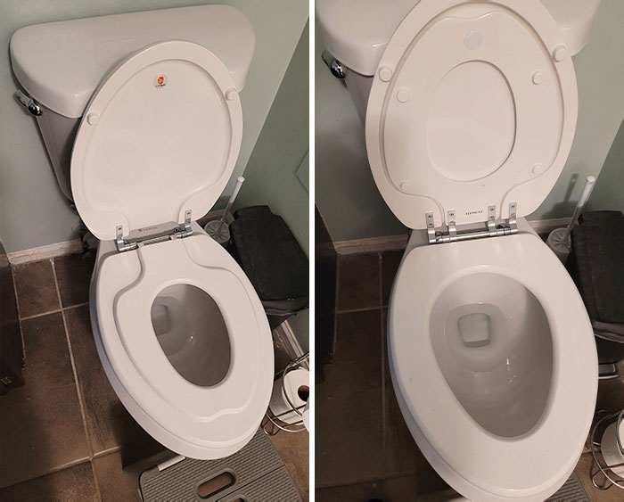 Game-Changing Toilet Seat