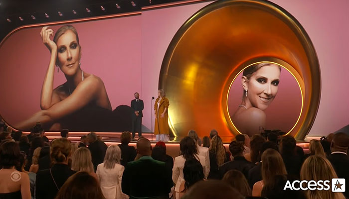 After Heartbreaking SPS Diagnosis, Céline Dion Makes Rare Public Appearance At The Grammys