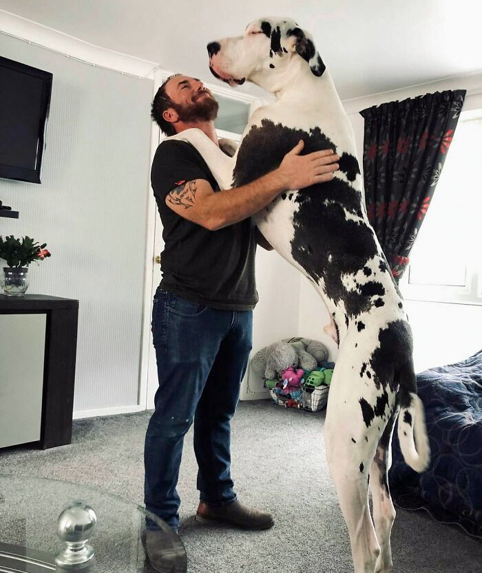 I Just Absolutely Love This Picture Of Gareth And Bruiser