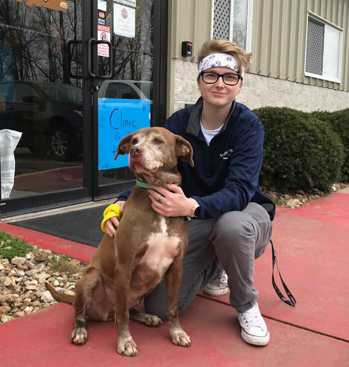 Shelter Dog Was Overlooked For Almost A Decade Until She Found Her Person Shelter Dog Was Overlooked For Almost A Decade Until She Found Her Person