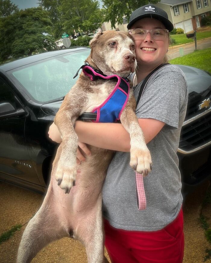 Shelter Dog Was Overlooked For Almost A Decade Until She Found Her Person