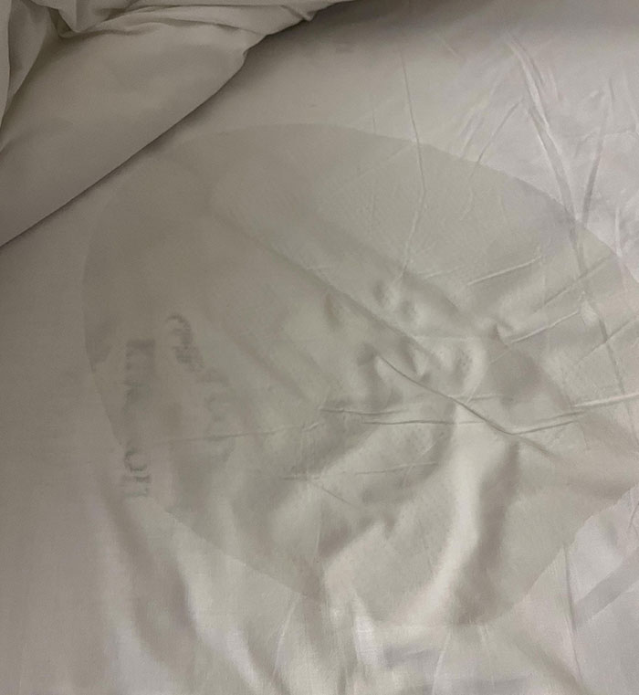 Someone Urinated (I Think) In My Hotel Room's Bed