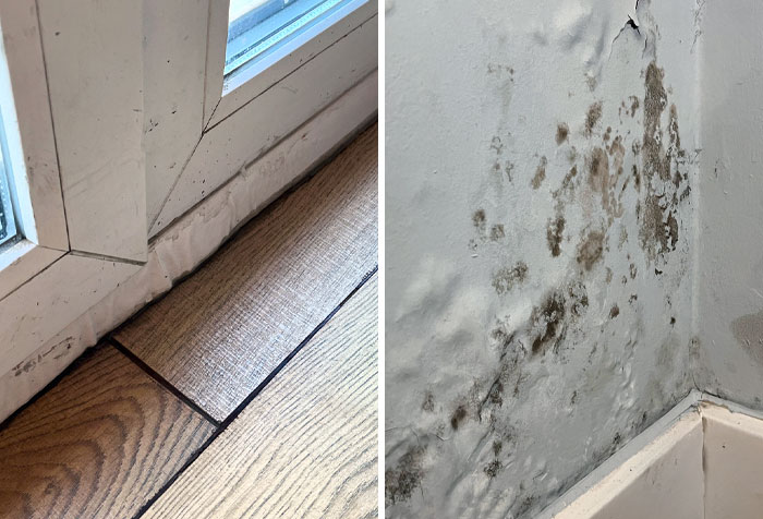 Is This Mold Caused By Water Infiltration? Found In An Airbnb, Unsure Whether Or Not To Report