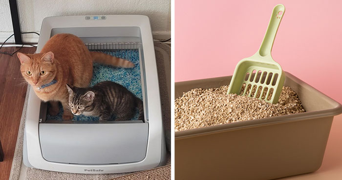 How Many Litter Boxes are Recommended per Cat?