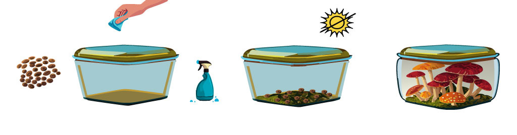illustration of growing mushrooms in an enclosed tub