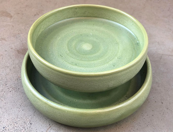 a green ant-proof food bowl