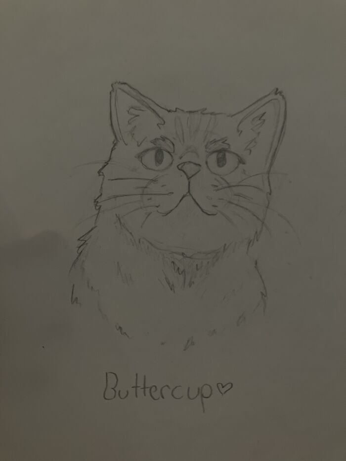 Finishing A Drawing I’m Proud Of… This Is How I Imagine Buttercup From The Hunger Games After Finishing The Books