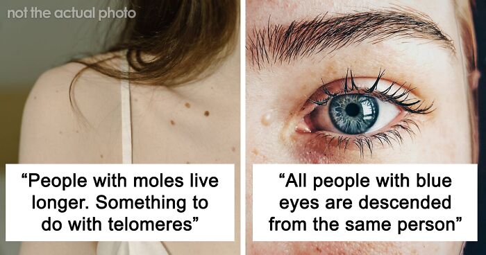 “Cheetahs Are Extremely Inbred”: 50 Interesting Genetics Facts You May Have Missed At School