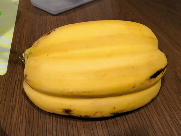 These Bananas Are Joined Together. It Was Surprisingly Bland And Didn't Taste Very Good