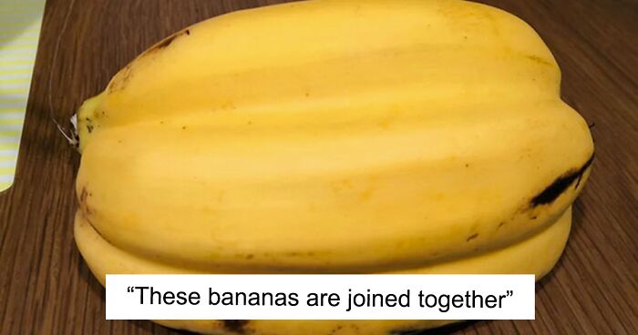 “A Real Monster Nightmare”: 50 Times Mother Nature Glitched Out And It Led To Interesting Plants