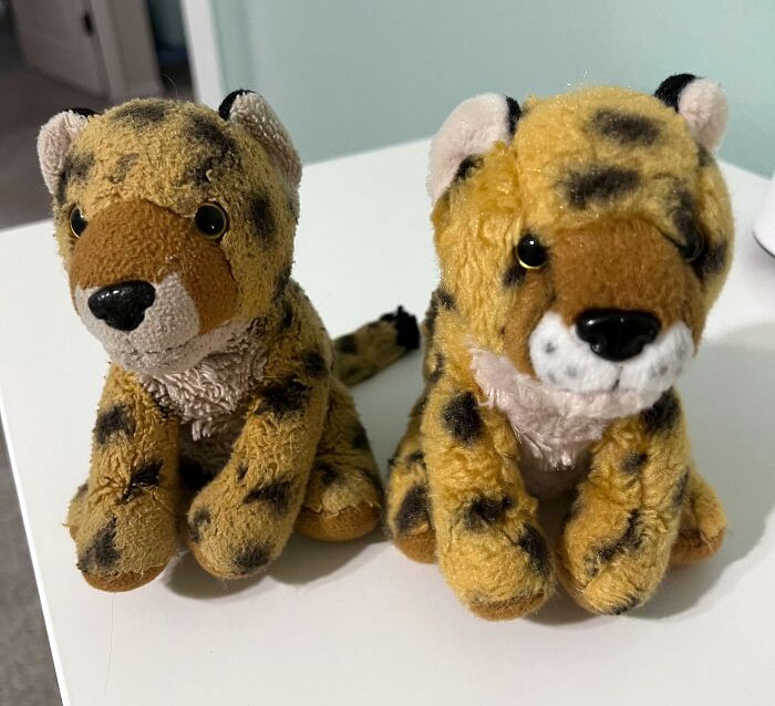 My Daughter’s Favorite Stuffed Animal “Scratch” vs. The New Backup Replacement