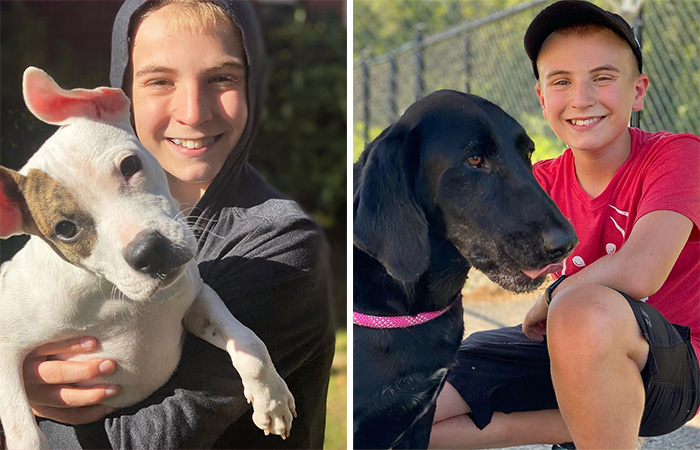 12 Y.O.’s Mission Is To Find Homes For Shelter Dogs And He Has Already Succeeded 4,900 Times