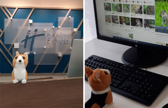 Family Was Distressed After Son’s Toy Was Left Behind Until Hotel Staff Saved The Day