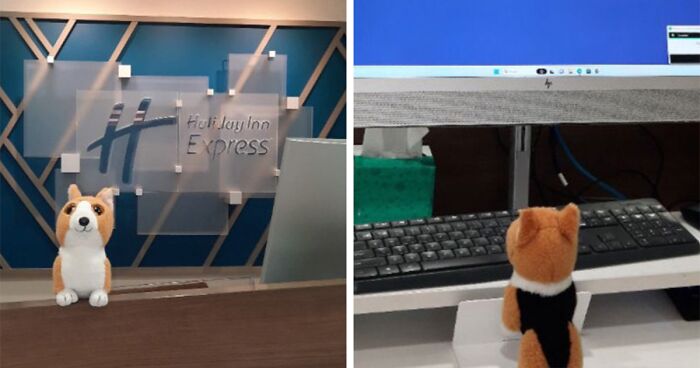 Family Was Distressed After Son’s Toy Was Left Behind Until Hotel Staff Saved The Day