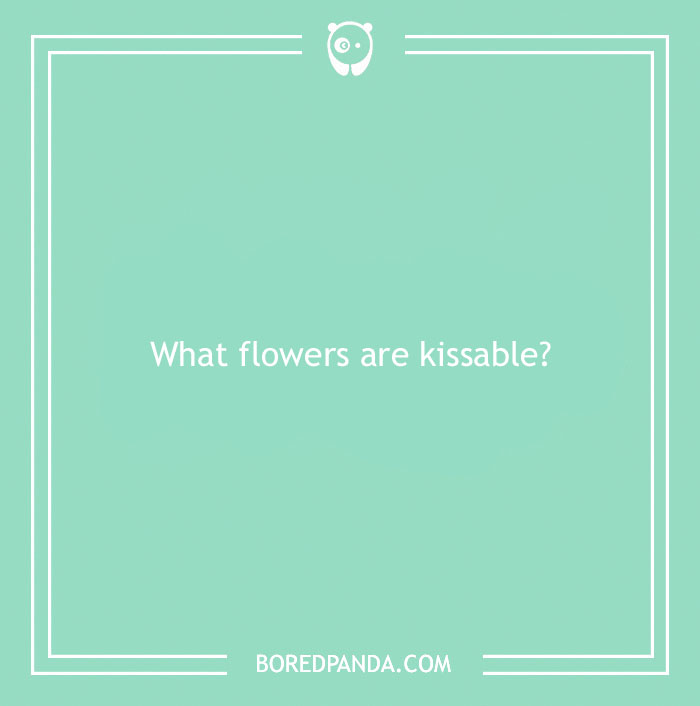 100 Love Riddles That Are As Sweet As Love Itself