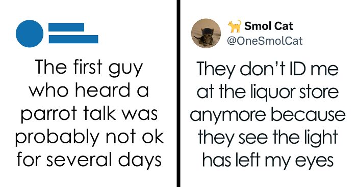 50 Memes For When There’s Nothing Left To Do But Laugh, Posted On The “Mad Sad Not Good” IG Page (New Pics)