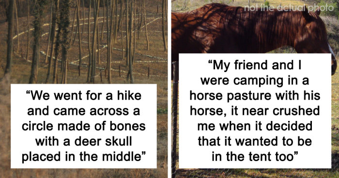 Folks Share The Most Disturbing Things They’ve Seen While Camping And Here Are 37 Of The Scariest