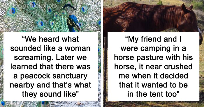 37 Campers Share The Most Terrifying Encounters They’ve Had In The Great Outdoors