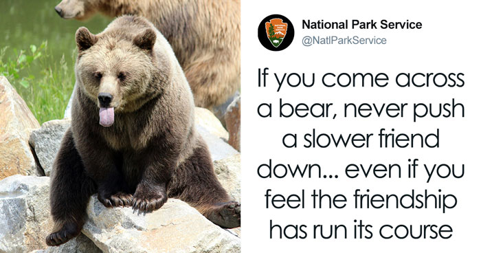 People Online Are Cracking Up At This National Park Service Sign About Safety Around Bears