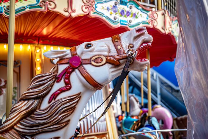 PETA Demands Carousel-Maker To End Animal Designs As They "Unintentionally" Celebrate Exploitation