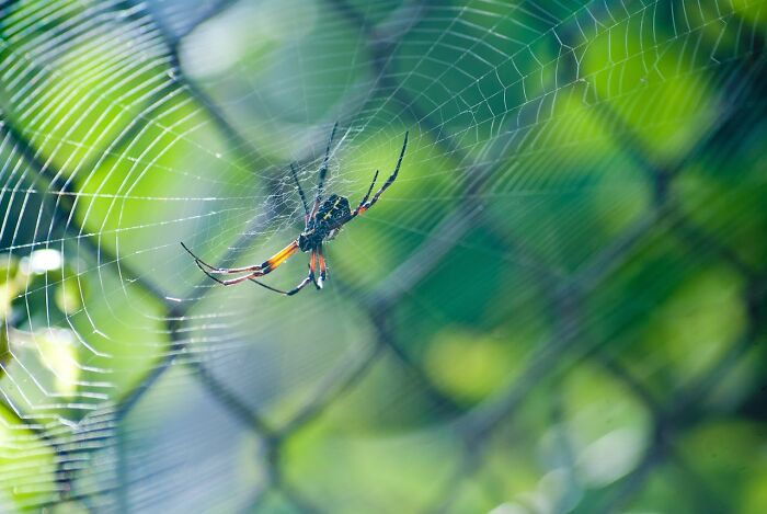 35 Fascinating Things About Australia That Shocked Visitors