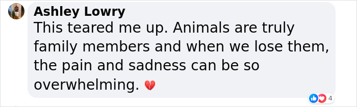 “Well, I’m Bawling”: Fans React To Jon Stewart’s Story About His Late Dog Dipper “Well, I’m Bawling”: Fans React To Jon Stewart’s Story About His Late Dog Dipper