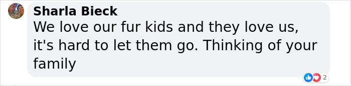 “Well, I’m Bawling”: Fans React To Jon Stewart’s Story About His Late Dog Dipper “Well, I’m Bawling”: Fans React To Jon Stewart’s Story About His Late Dog Dipper