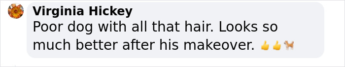 Barney The Dog Relieved After Rescuers Shave Off 7.8 Kg Of Matted Fur Barney The Dog Relieved After Rescuers Shave Off 7.8 Kg Of Matted Fur