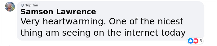 Barney The Dog Relieved After Rescuers Shave Off 7.8 Kg Of Matted Fur Barney The Dog Relieved After Rescuers Shave Off 7.8 Kg Of Matted Fur