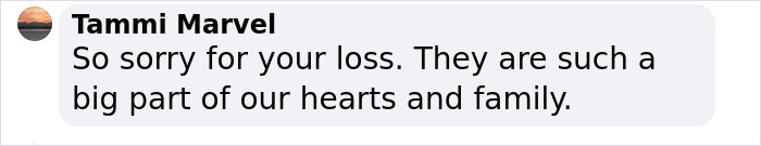 “Well, I’m Bawling”: Fans React To Jon Stewart’s Story About His Late Dog Dipper “Well, I’m Bawling”: Fans React To Jon Stewart’s Story About His Late Dog Dipper