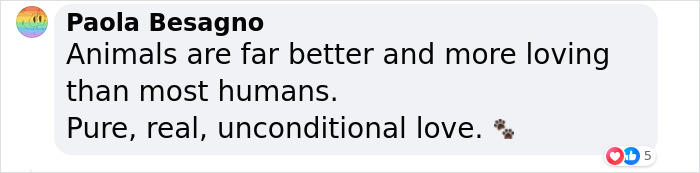 “Well, I’m Bawling”: Fans React To Jon Stewart’s Story About His Late Dog Dipper “Well, I’m Bawling”: Fans React To Jon Stewart’s Story About His Late Dog Dipper