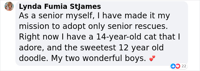 Shelter Dog Was Overlooked For Almost A Decade Until She Found Her Person Shelter Dog Was Overlooked For Almost A Decade Until She Found Her Person