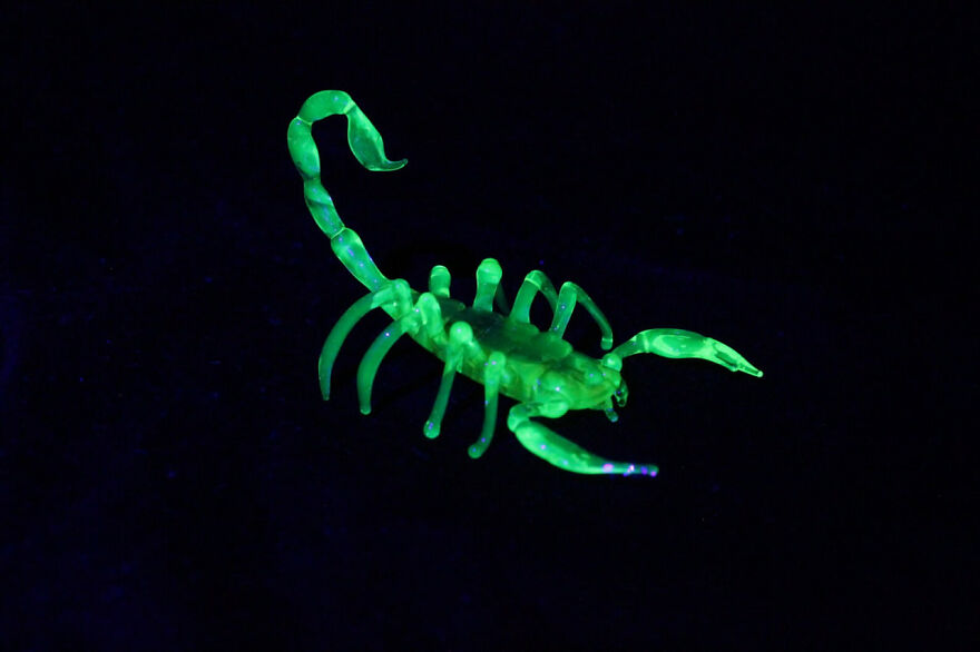 I Made Figurines Out Of Uranium Glass (24 Pics) I Made Figurines Out Of Uranium Glass (24 Pics)