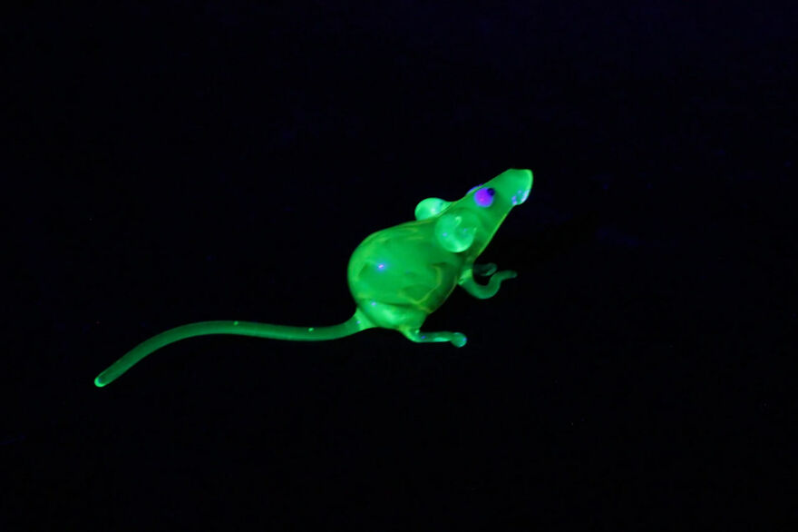 I Made Figurines Out Of Uranium Glass (24 Pics) I Made Figurines Out Of Uranium Glass (24 Pics)