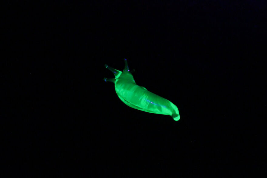 I Made Figurines Out Of Uranium Glass (24 Pics) I Made Figurines Out Of Uranium Glass (24 Pics)