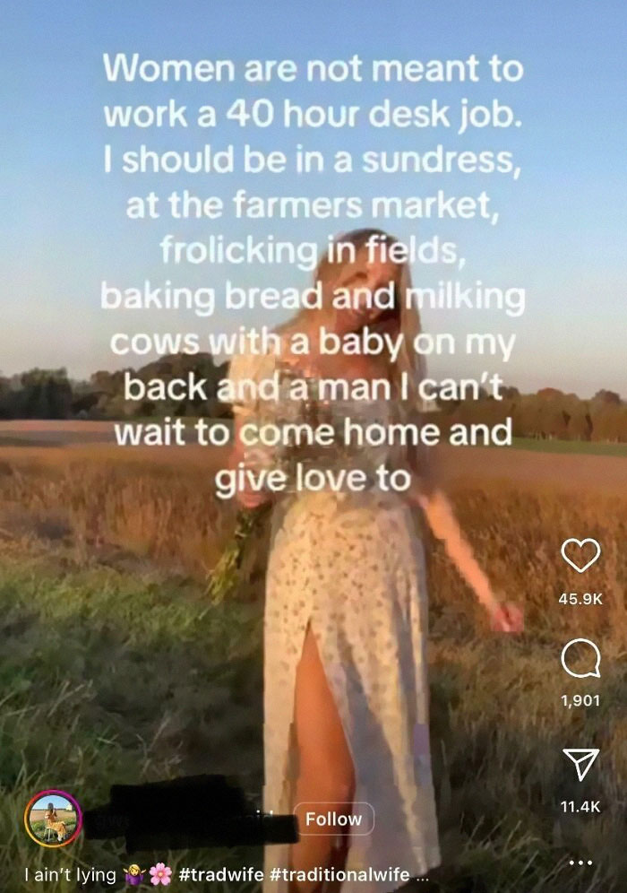 As A Sahm With A Mini Farm..the Last Thing I’d Want To Wear Is A Sundress…and Who Has Time To Frolic…what’s With This Trend?