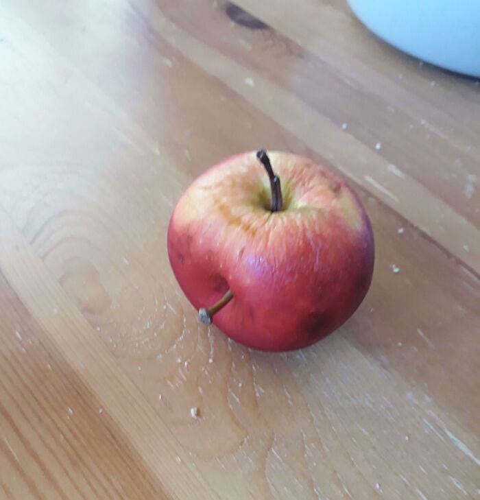This Apple With Two Stems That I Bought